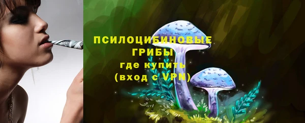 a pvp Медвежьегорск