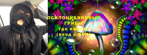 a pvp Медвежьегорск
