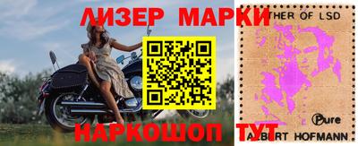 гашик Новодвинск