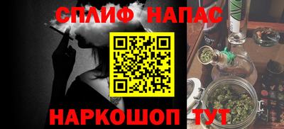 гашик Новодвинск