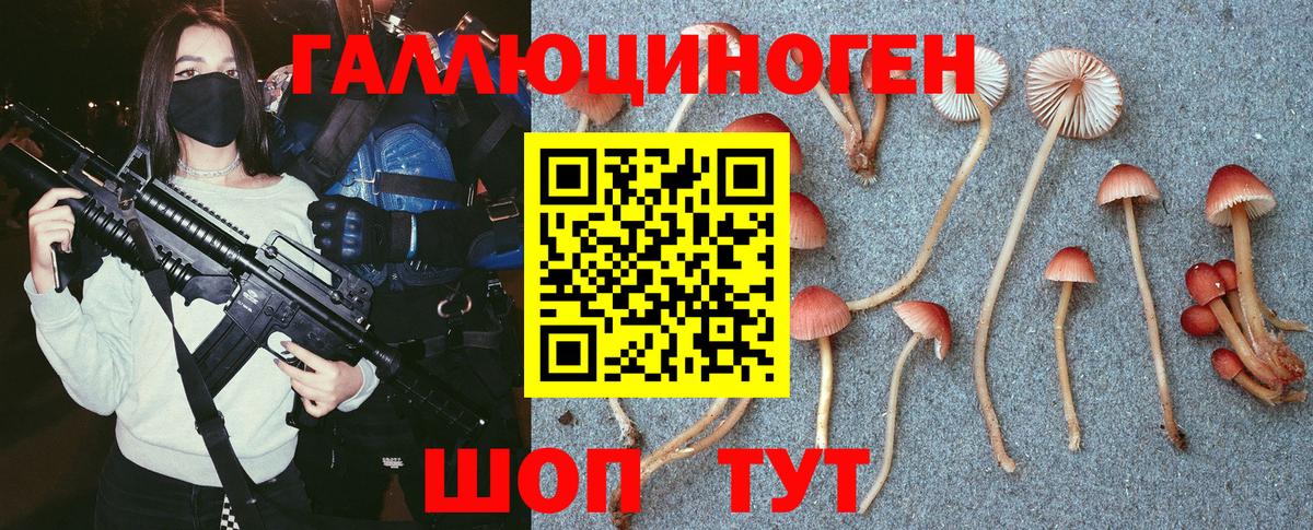закладки  Вход с VPN  Тавда  Галлюциногенные грибы Psilocybe 